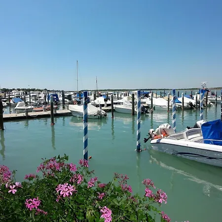 Naonis - * ביביונה